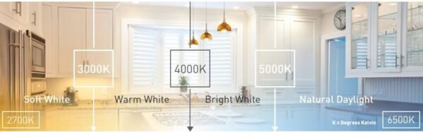 Ecosmart 8-Pack A19 - 60 Watt Equivalent Daylight (5000K) LED Light Bulb - Image 4