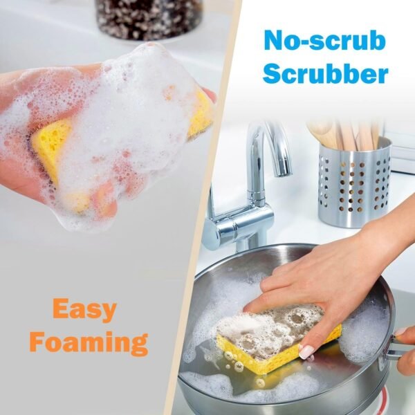 12 Pack Natural Kitchen Sponges, Plant-Based Biodegradable Sponge, Non-Scratch Scrubber for Dish & Sink Cleaning, Coconut Cellulose Household Dishwashing Color Bulk Sponges - Image 4