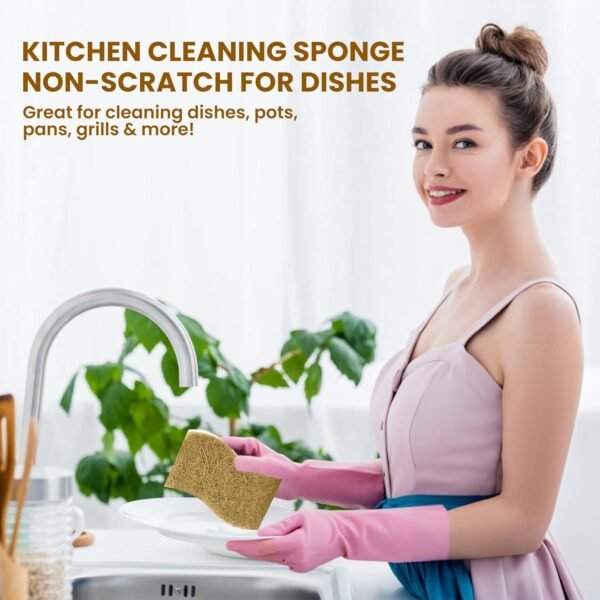 12PCS Natural Kitchen Sponges - Biodegradable Non-Scratch Cellulose and Coconut Fiber Sponge - Pack of 12 Compostable Sustainable and Durable Sponges for All Surfaces - EcoFriendly Sponge for Dishes - Image 5