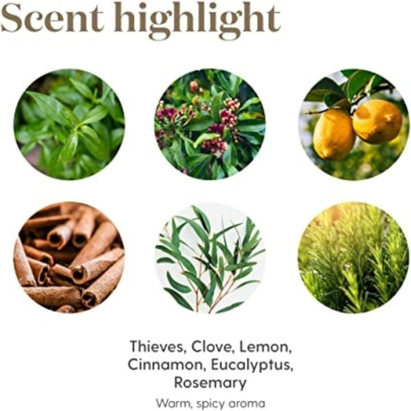Thieves Household Cleaner - Plant-Based natural cleaning product for home Solutions for a Happy, Healthy Home - 14.4 fl oz - Young Living's Signature thieves essential oil cleaner Blend - Image 5