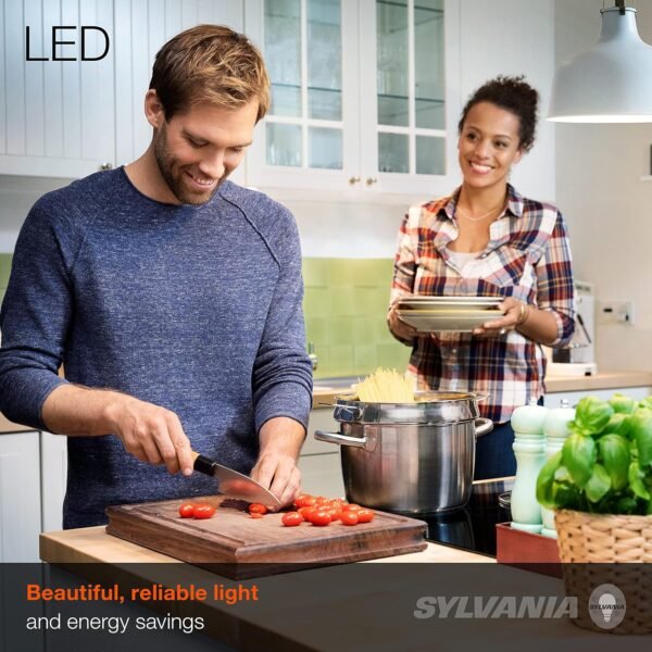 SYLVANIA ECO LED A19 Light Bulb, 60W Equivalent, Efficient 9W, 7 Year, 750 Lumens, Non-Dimmable, Frosted, 5000K Daylight, Pack of 24 (40987) - Image 2