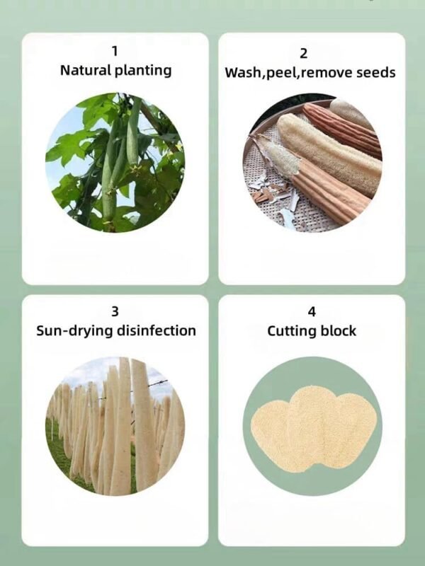 WOCATS 6pcs Natural Loofah Dish Sponges Scrubber for Kitchen-Based Dishwashing Scrubber Greener Clean Stand Wear and Tear Non-Scratch, Biodegradable - Image 5
