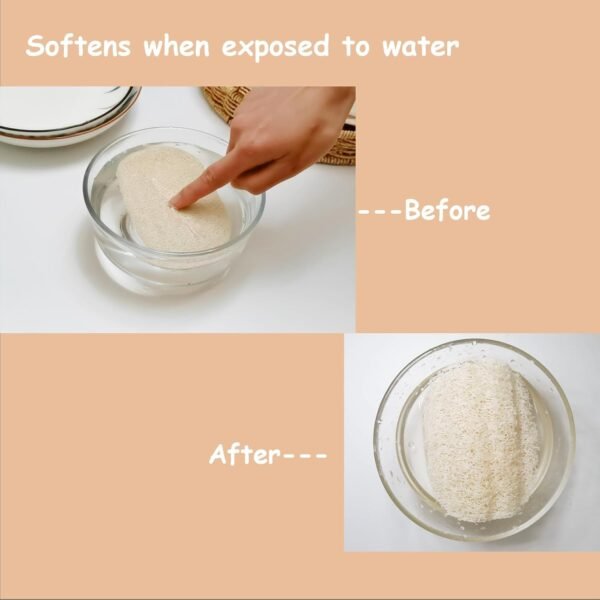 WOCATS 6pcs Natural Loofah Dish Sponges Scrubber for Kitchen-Based Dishwashing Scrubber Greener Clean Stand Wear and Tear Non-Scratch, Biodegradable - Image 3