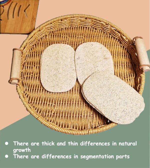 WOCATS 6pcs Natural Loofah Dish Sponges Scrubber for Kitchen-Based Dishwashing Scrubber Greener Clean Stand Wear and Tear Non-Scratch, Biodegradable - Image 4